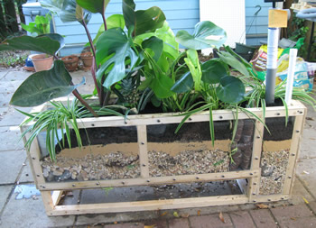 Botanical Greywater Processors